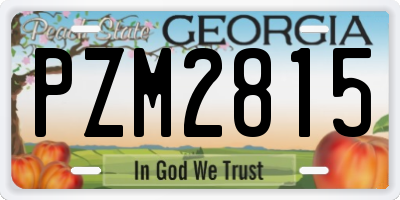 GA license plate PZM2815