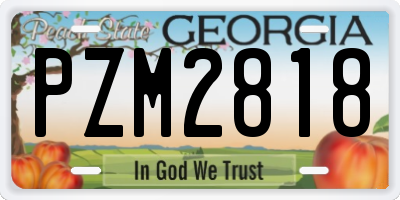 GA license plate PZM2818