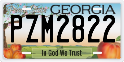 GA license plate PZM2822