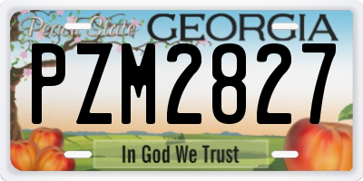 GA license plate PZM2827