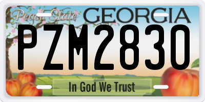 GA license plate PZM2830
