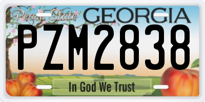 GA license plate PZM2838