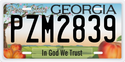 GA license plate PZM2839