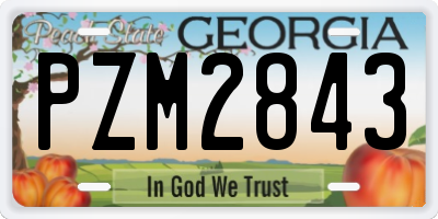 GA license plate PZM2843