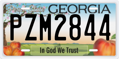 GA license plate PZM2844
