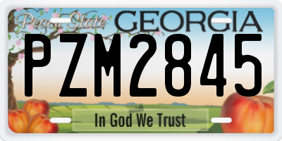 GA license plate PZM2845