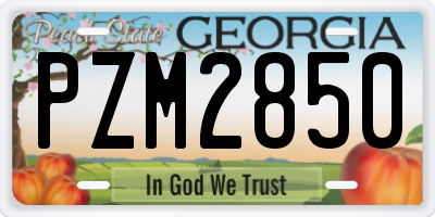 GA license plate PZM2850