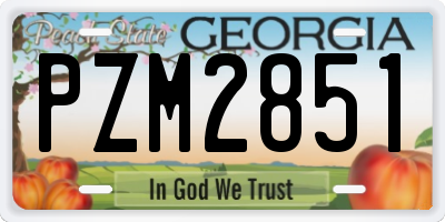 GA license plate PZM2851