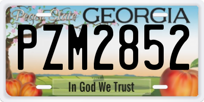 GA license plate PZM2852