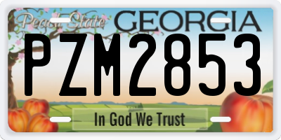 GA license plate PZM2853
