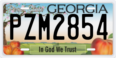 GA license plate PZM2854