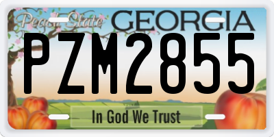 GA license plate PZM2855