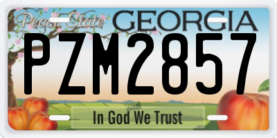 GA license plate PZM2857