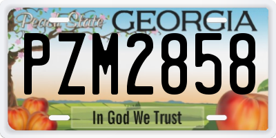 GA license plate PZM2858