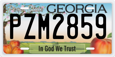 GA license plate PZM2859
