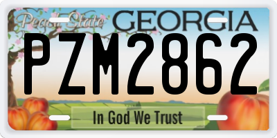 GA license plate PZM2862