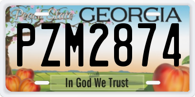 GA license plate PZM2874