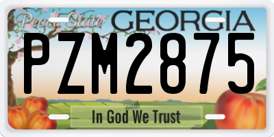 GA license plate PZM2875