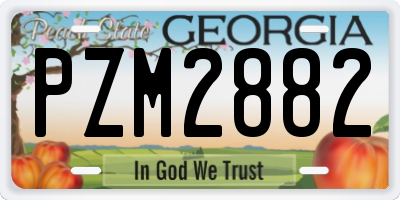 GA license plate PZM2882