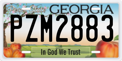 GA license plate PZM2883
