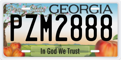 GA license plate PZM2888