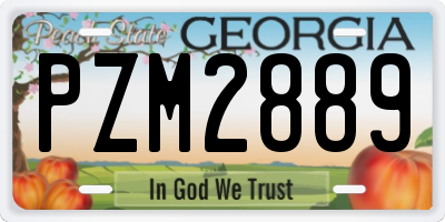 GA license plate PZM2889