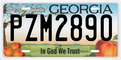 GA license plate PZM2890