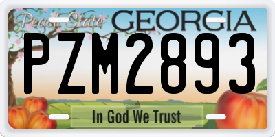 GA license plate PZM2893