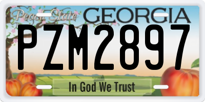 GA license plate PZM2897