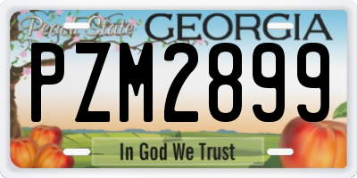 GA license plate PZM2899