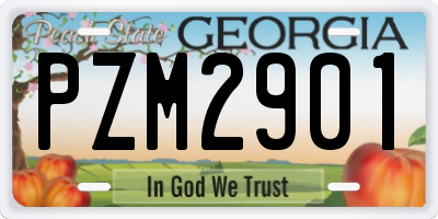 GA license plate PZM2901