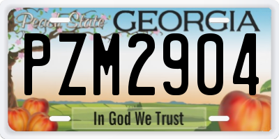 GA license plate PZM2904