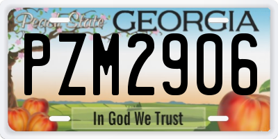 GA license plate PZM2906