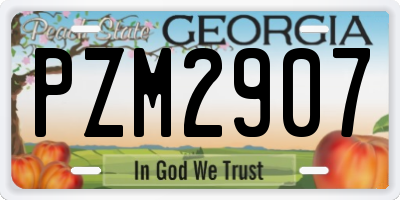 GA license plate PZM2907