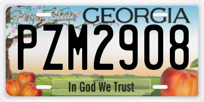 GA license plate PZM2908