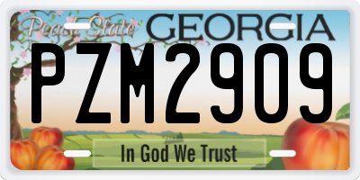GA license plate PZM2909