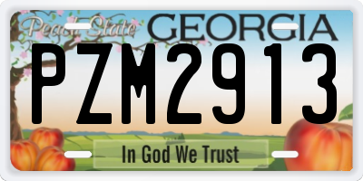 GA license plate PZM2913