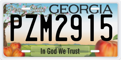 GA license plate PZM2915