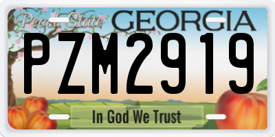 GA license plate PZM2919