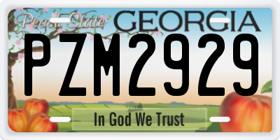 GA license plate PZM2929