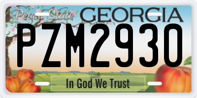 GA license plate PZM2930