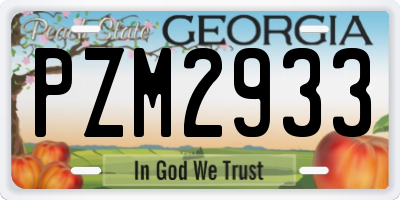 GA license plate PZM2933