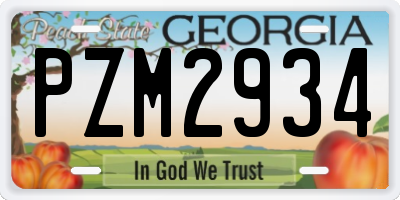 GA license plate PZM2934