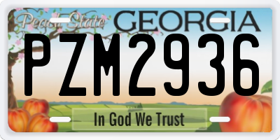 GA license plate PZM2936