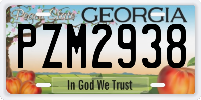 GA license plate PZM2938
