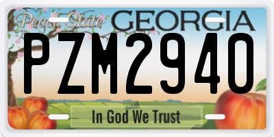 GA license plate PZM2940