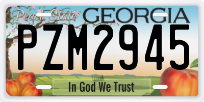 GA license plate PZM2945