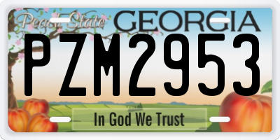 GA license plate PZM2953