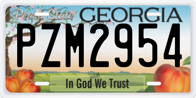 GA license plate PZM2954