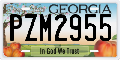 GA license plate PZM2955